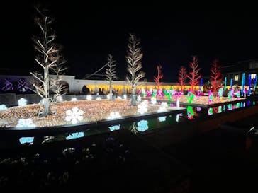 神戸イルミナージュに投稿された画像（2021/12/19）