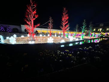 神戸イルミナージュに投稿された画像（2021/12/19）