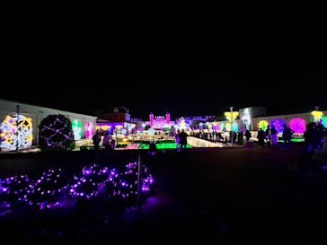 神戸イルミナージュに投稿された画像（2021/12/19）