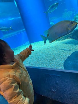 マクセル アクアパーク品川に投稿された画像（2021/12/19）