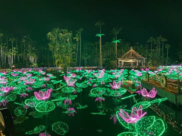 美らヤシパークオキナワ・東南植物楽園に投稿された画像（2021/12/19）