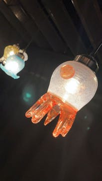 京都水族館に投稿された画像（2021/12/19）