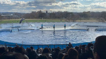 京都水族館に投稿された画像（2021/12/19）