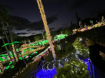 美らヤシパークオキナワ・東南植物楽園に投稿された画像（2021/12/19）