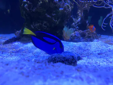 すみだ水族館に投稿された画像（2021/12/19）