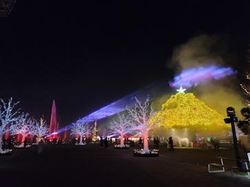 東京メガイルミに投稿された画像（2021/12/19）