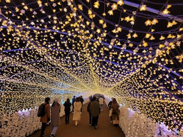 東京メガイルミに投稿された画像（2021/12/19）