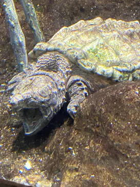 天王寺動物園に投稿された画像（2021/12/19）