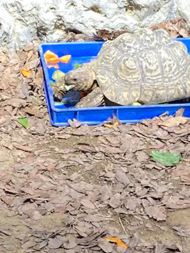 天王寺動物園に投稿された画像（2021/12/19）