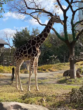 天王寺動物園に投稿された画像（2021/12/19）