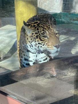 天王寺動物園に投稿された画像（2021/12/19）