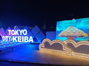 東京メガイルミに投稿された画像（2021/12/19）