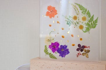 ずこうしつ〜sugamo〜に投稿された画像（2021/12/19）