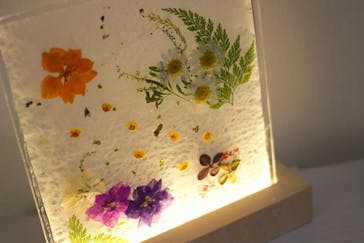 ずこうしつ〜sugamo〜に投稿された画像（2021/12/19）