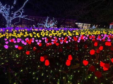 さがみ湖MORI MORIに投稿された画像（2021/12/19）