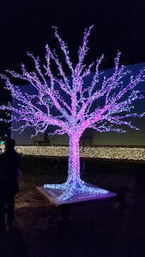 東京メガイルミに投稿された画像（2021/12/19）