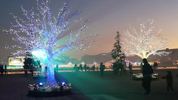 東京メガイルミに投稿された画像（2021/12/19）