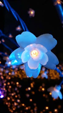 東京メガイルミに投稿された画像（2021/12/19）