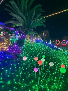 伊豆ぐらんぱる公園に投稿された画像（2021/12/19）