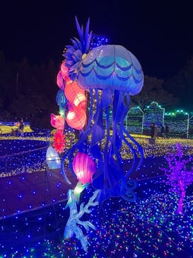 伊豆ぐらんぱる公園に投稿された画像（2021/12/19）