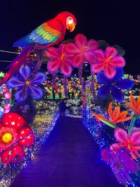 伊豆ぐらんぱる公園に投稿された画像（2021/12/19）