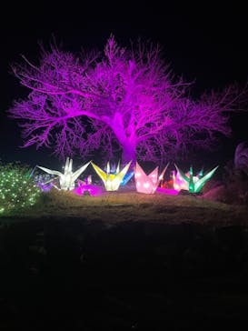 伊豆ぐらんぱる公園に投稿された画像（2021/12/19）