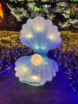 伊豆ぐらんぱる公園に投稿された画像（2021/12/19）