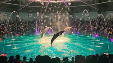 マクセル アクアパーク品川に投稿された画像（2021/12/19）