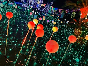 伊豆ぐらんぱる公園に投稿された画像（2021/12/19）