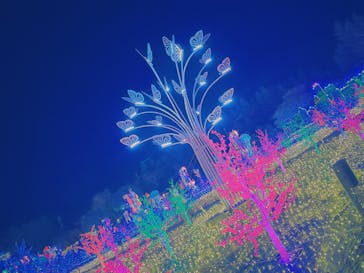 伊豆ぐらんぱる公園に投稿された画像（2021/12/19）