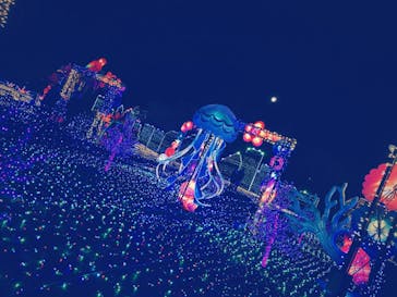 伊豆ぐらんぱる公園に投稿された画像（2021/12/19）