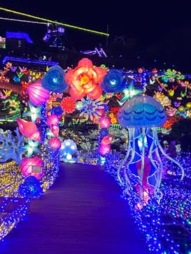 伊豆ぐらんぱる公園に投稿された画像（2021/12/19）