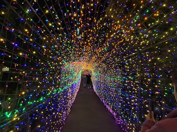 伊豆ぐらんぱる公園に投稿された画像（2021/12/19）