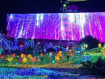 伊豆ぐらんぱる公園に投稿された画像（2021/12/19）