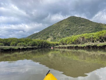 マングローブ茶屋に投稿された画像（2021/12/19）