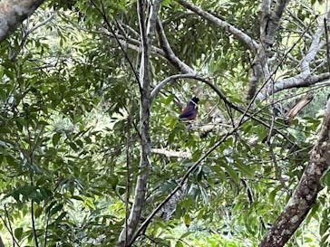 マングローブ茶屋に投稿された画像（2021/12/19）