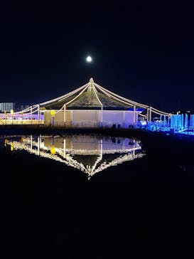 東京メガイルミに投稿された画像（2021/12/19）