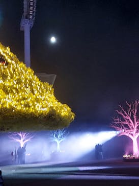 東京メガイルミに投稿された画像（2021/12/19）