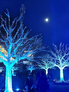 東京メガイルミに投稿された画像（2021/12/19）