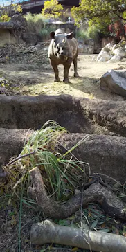天王寺動物園に投稿された画像（2021/12/19）