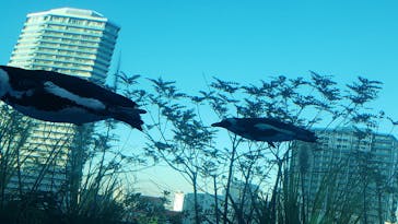 サンシャイン水族館に投稿された画像（2021/12/19）