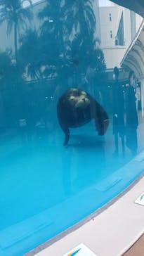 サンシャイン水族館に投稿された画像（2021/12/19）