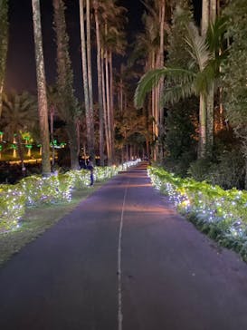 美らヤシパークオキナワ・東南植物楽園に投稿された画像（2021/12/19）