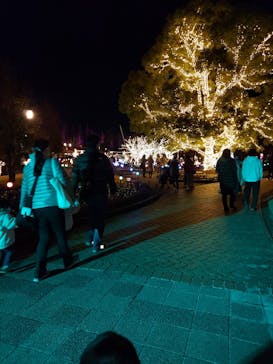 安城産業文化公園デンパークに投稿された画像（2021/12/20）