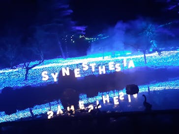 KYOTO ILLUMINATION SYNESTHESIA HILLS るり渓温泉に投稿された画像（2021/12/20）