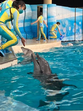 新江ノ島水族館に投稿された画像（2021/12/20）