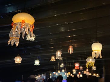 京都水族館に投稿された画像（2021/12/20）