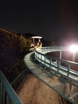 日本モンキーパークに投稿された画像（2021/12/20）