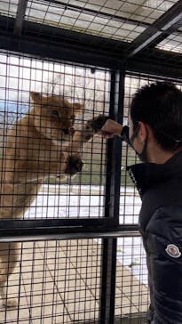 那須サファリパークに投稿された画像（2021/12/20）