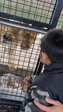 那須サファリパークに投稿された画像（2021/12/20）